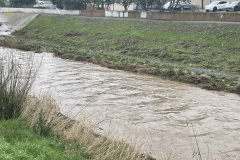 San-Tomas-Aquino-Creek-Landscape-I
