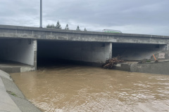 San-Tomas-Aquino-Creek-Landscape-II